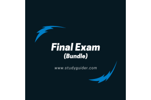 MKT 315 Topic 8 Final Exam (Bundle)